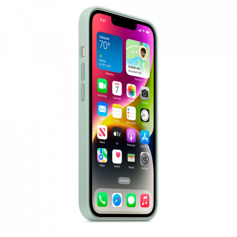 Чохол LUX Silicone Case на iPhone 14 Pro Max Succulent with MagSafe